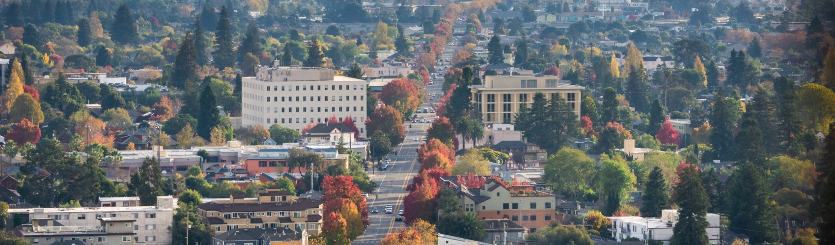 Aerial view of north Oakland on a sunny autumn evening