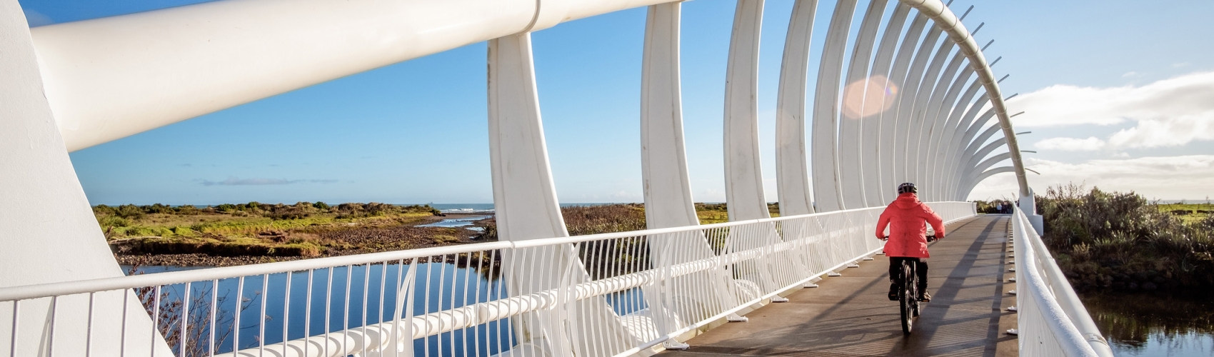 image of a man biking across a bridge