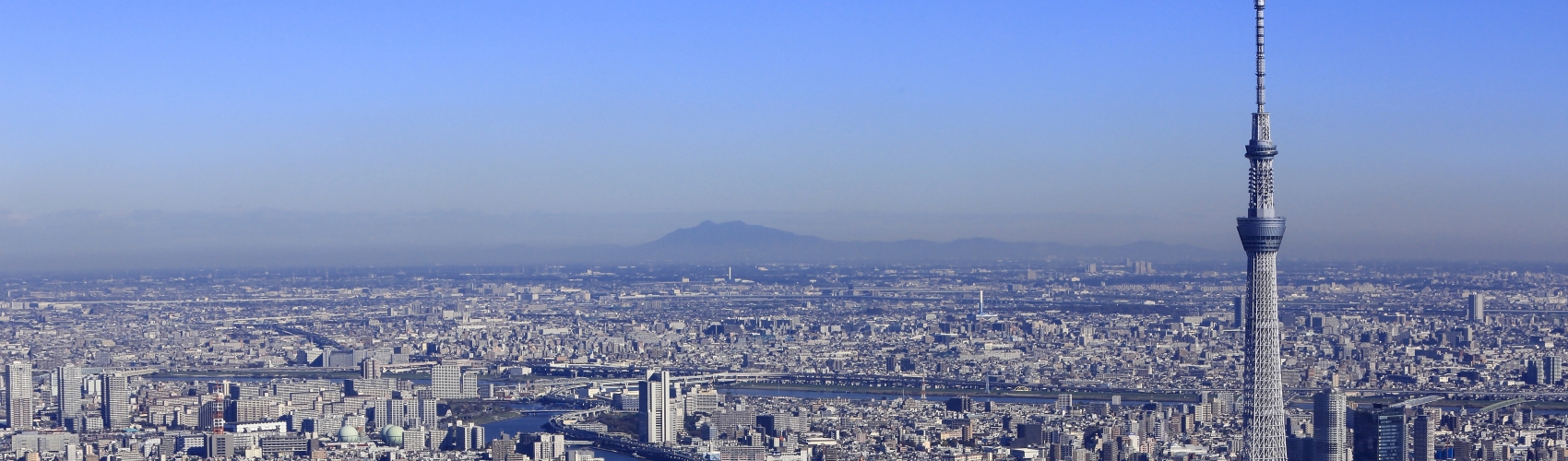 Tokyo skyline