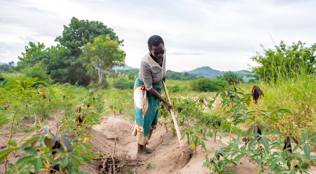 woman tilling earth in field