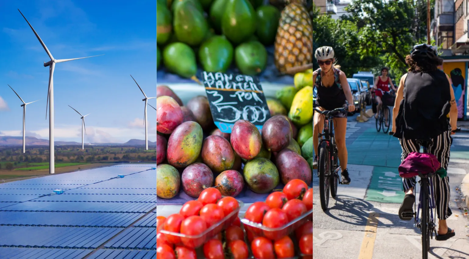 Three images side by side showing: wind turbines and solar panels; fruit  being sold at a market; and people cycling in a city