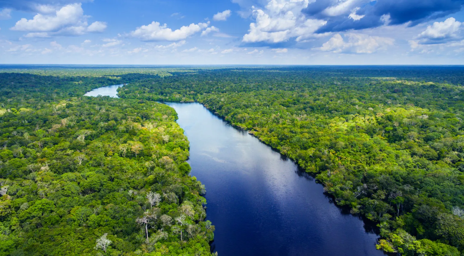 Photograph of the Amazon river in Brazil