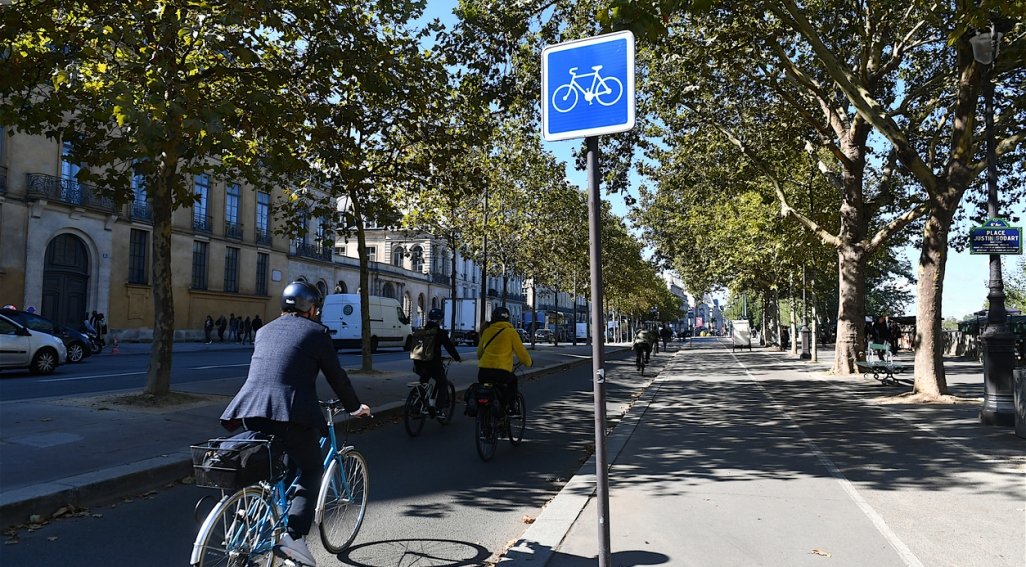 Cyclists on a tree-lined road in Paris